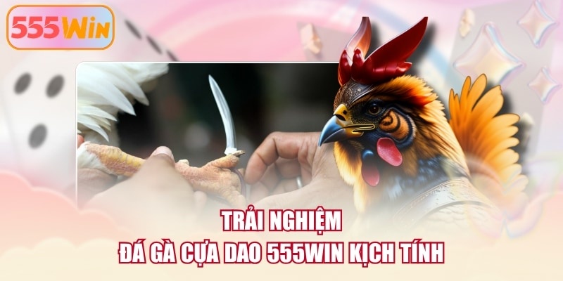 Trải nghiệm đá gà cựa dao 555WIN kịch tính